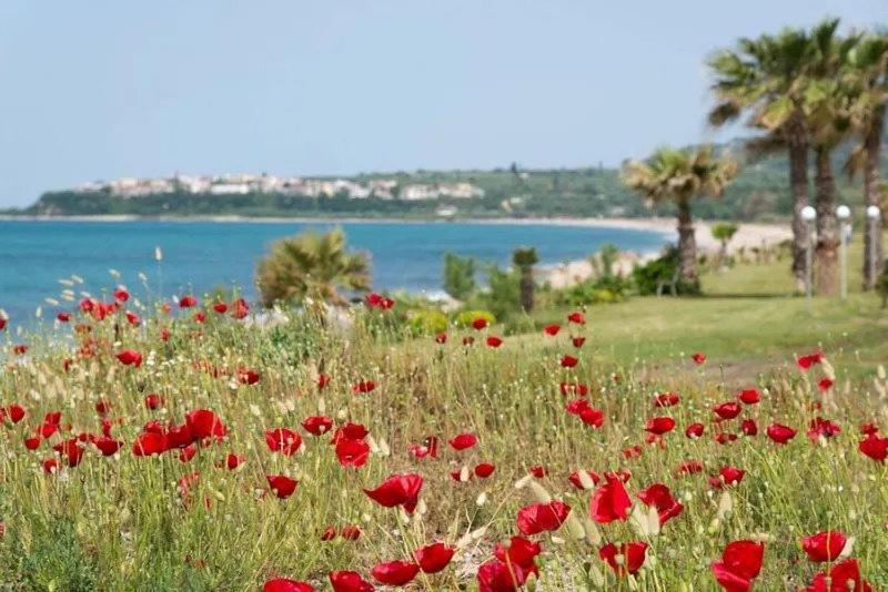 Poseidon Beach Hotel Kastrosikia Bagian luar foto